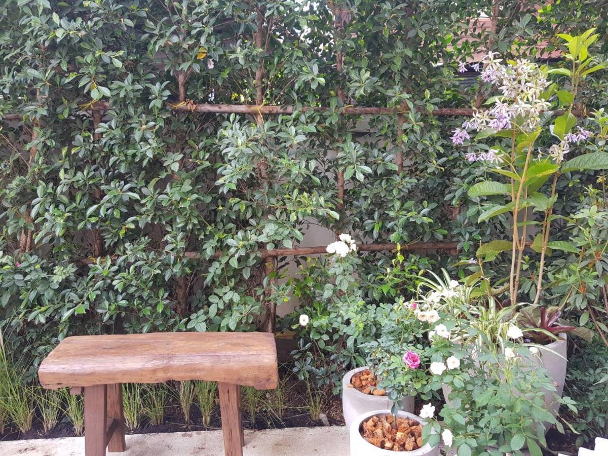 Hotel Rosy Chiang Mai Esterno foto